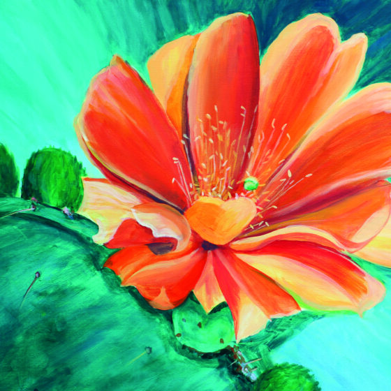 Desert Flower by Julie Bonner