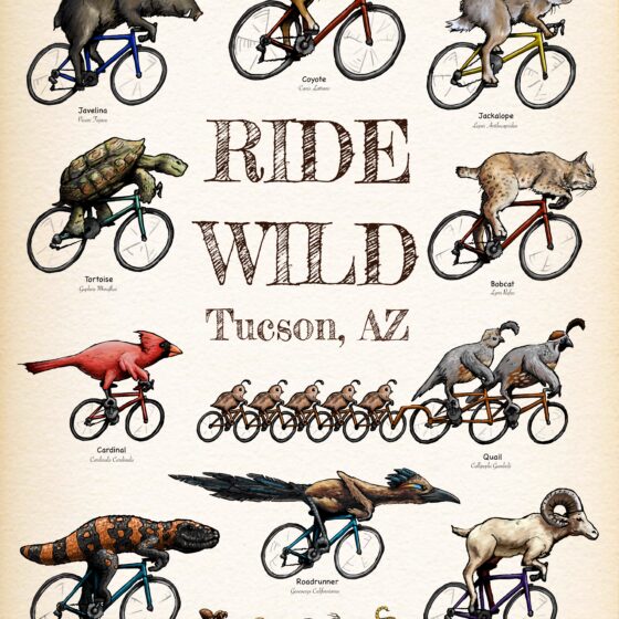 Ride Wild by Joe Pagac