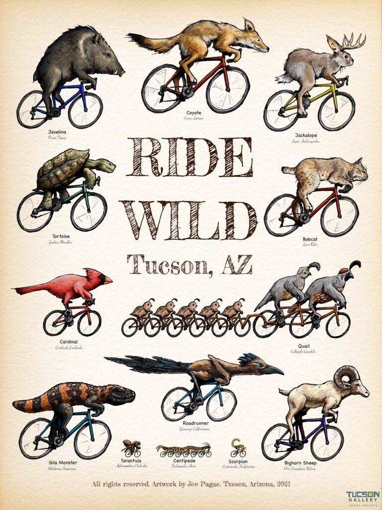 Ride Wild by Joe Pagac