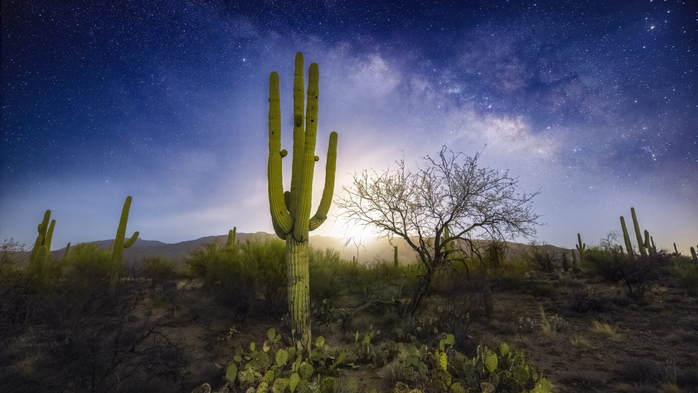 Saguaro National Park East Milky Way Moonrise - Sean Parker Photography