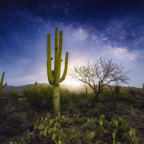 Saguaro National Park East Milky Way Moonrise - Sean Parker Photography