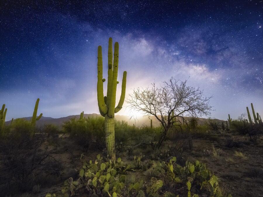 Saguaro National Park East Milky Way Moonrise - Sean Parker Photography
