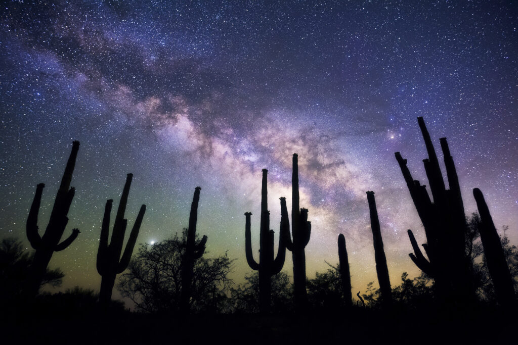 Saguaro Starlight - Sean Parker Photography