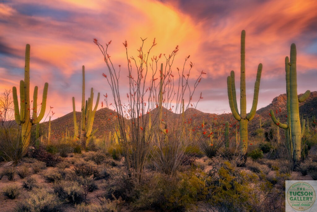 Tucson Mountain Sunset - Sean Parker Photography