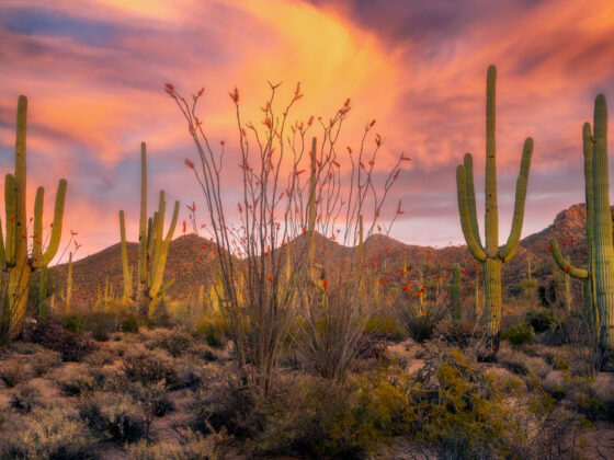 Tucson Mountain Sunset - Sean Parker Photography