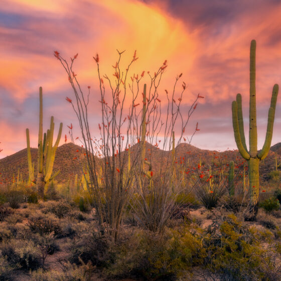 Tucson Mountain Sunset - Sean Parker Photography