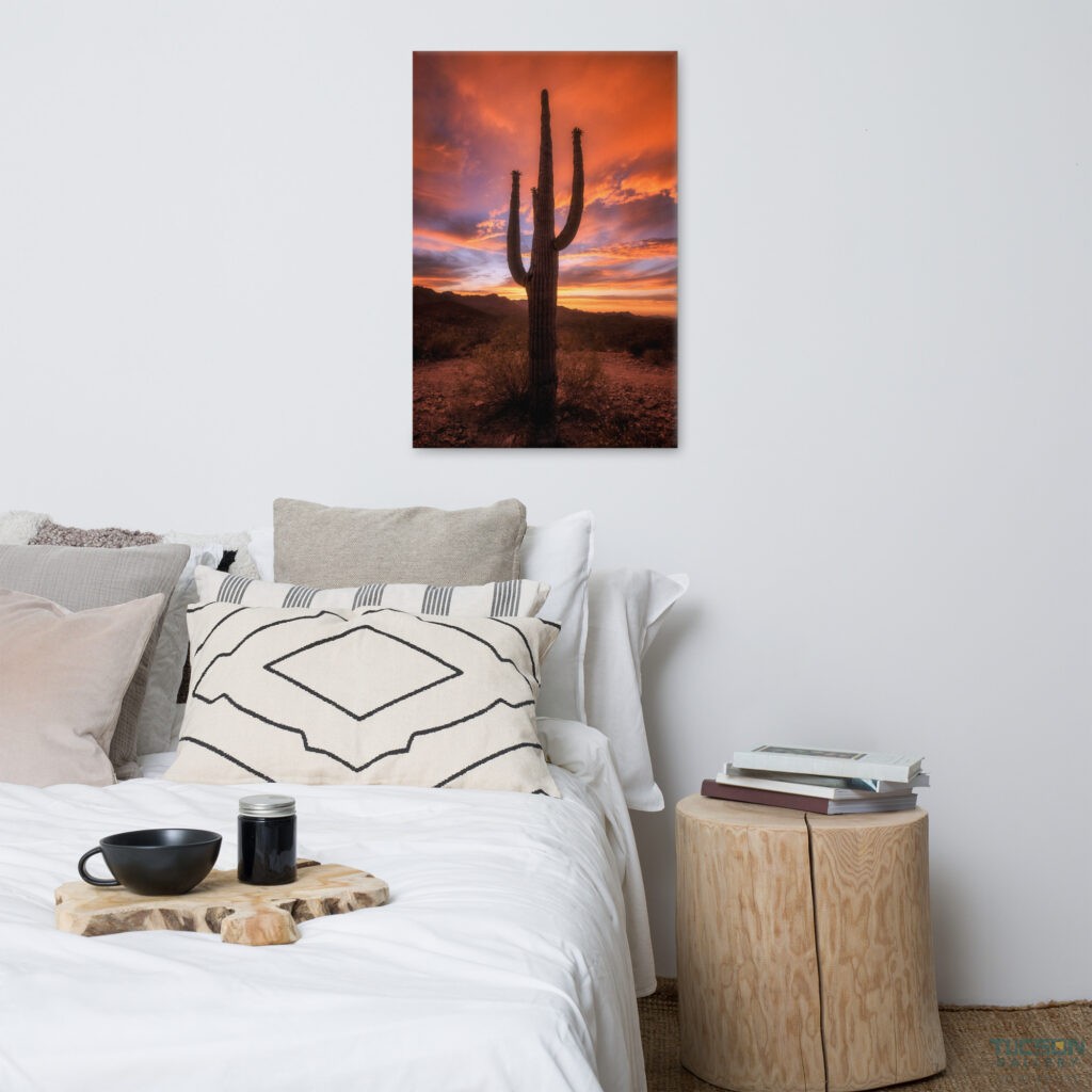 Saguaro Sunset by Sean Parker Photography | Wrapped Canvas