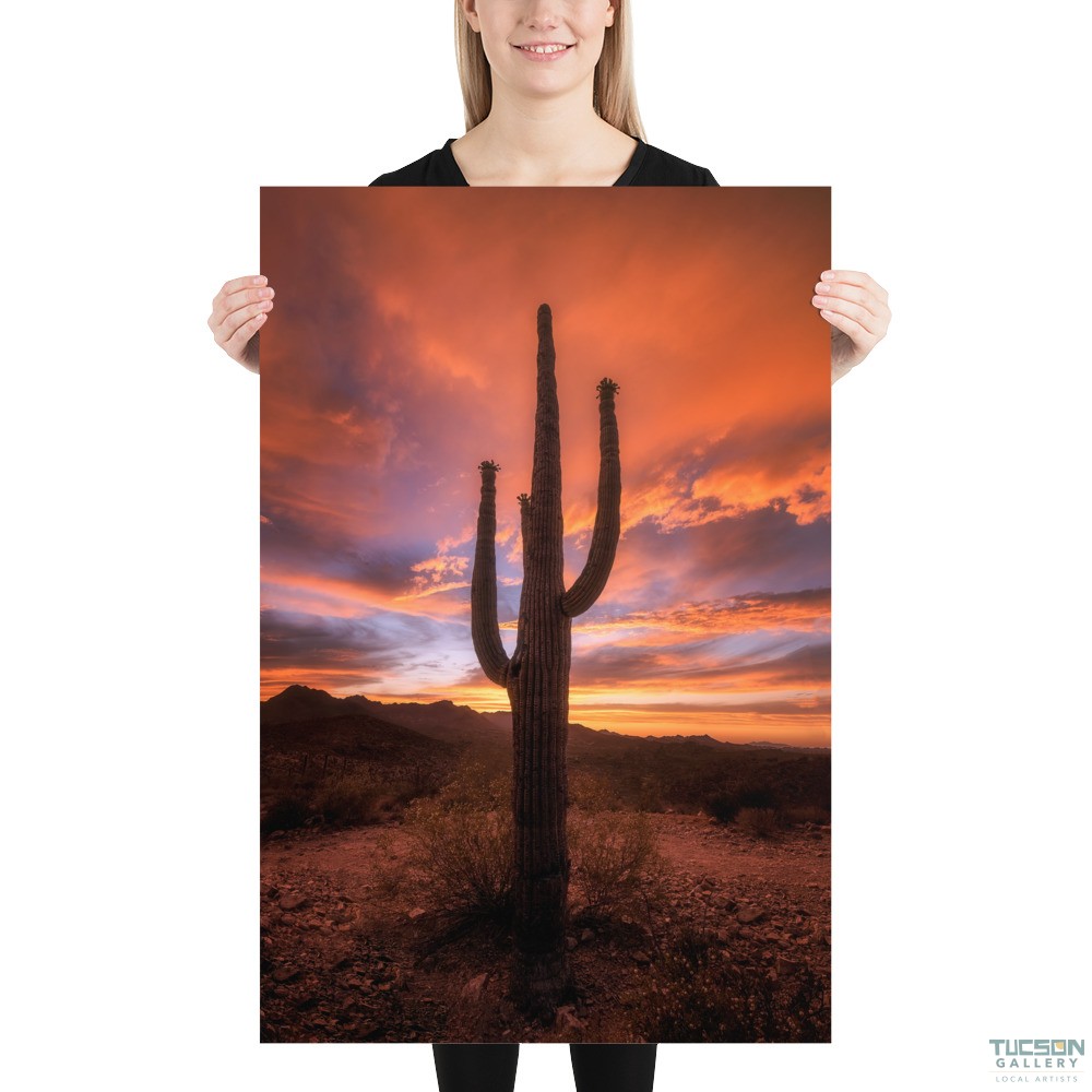 Saguaro Sunset by Sean Parker Photography | Poster