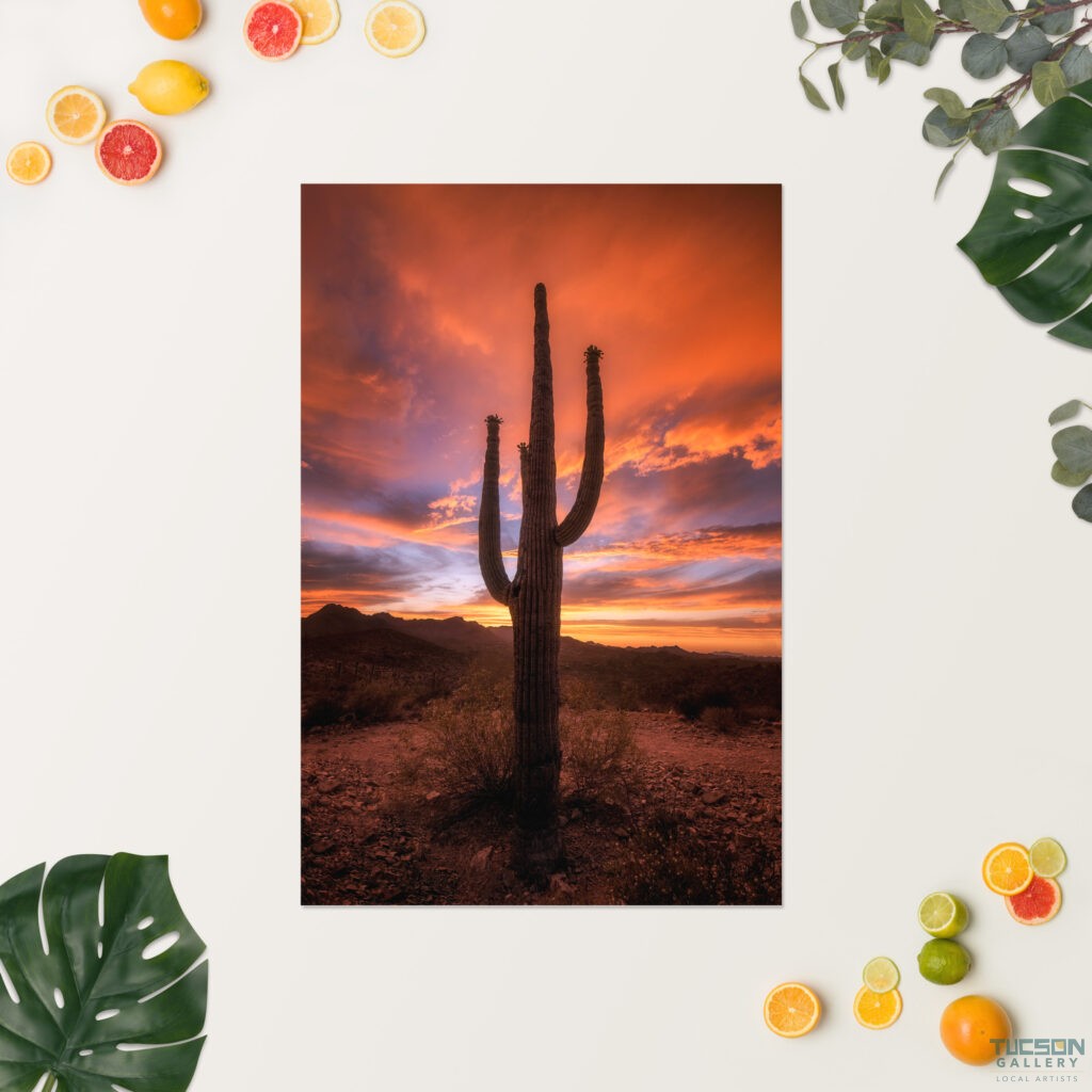 Saguaro Sunset by Sean Parker Photography | Poster