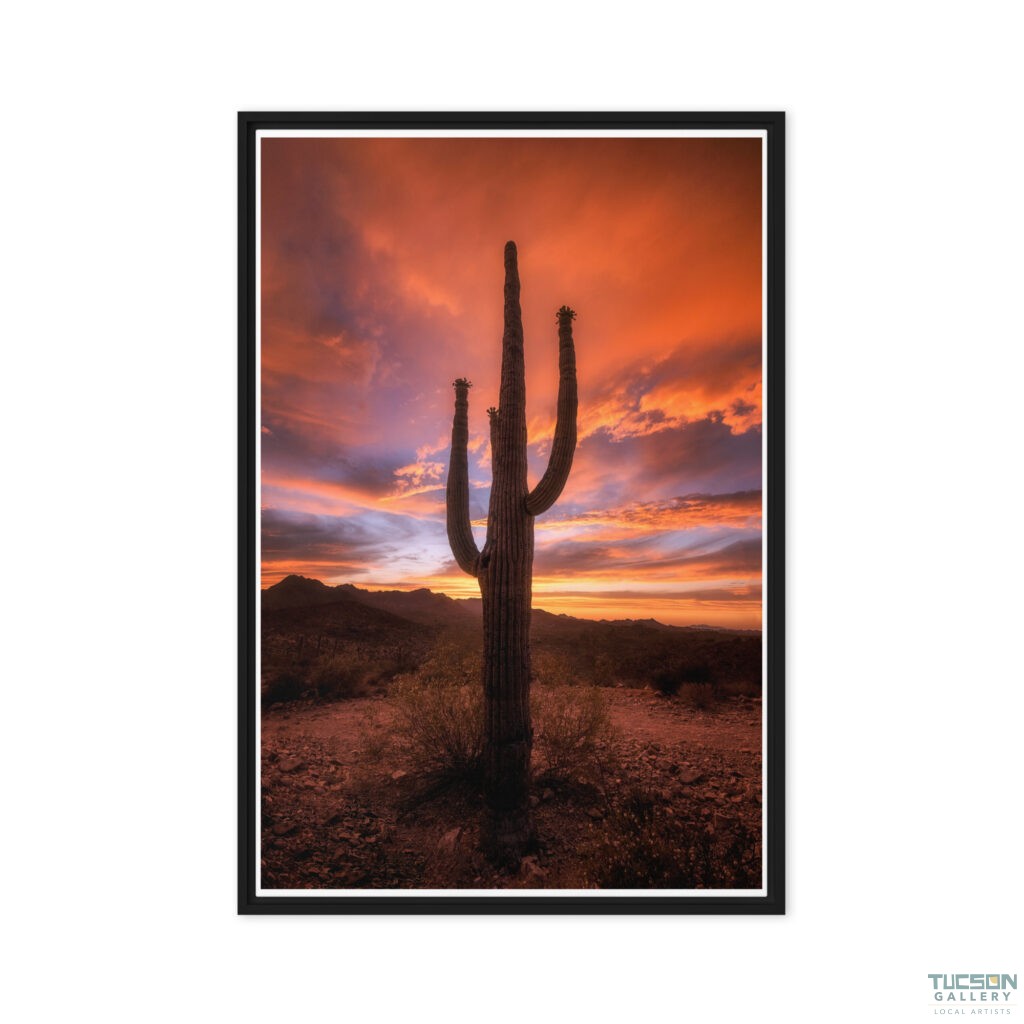 Saguaro Sunset by Sean Parker Photography | Wrapped Canvas