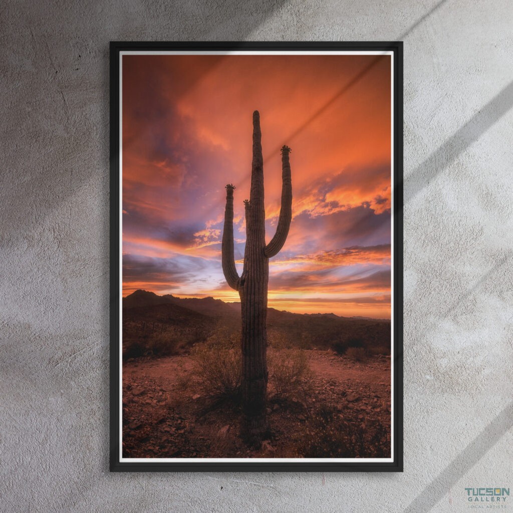 Saguaro Sunset by Sean Parker Photography | Wrapped Canvas