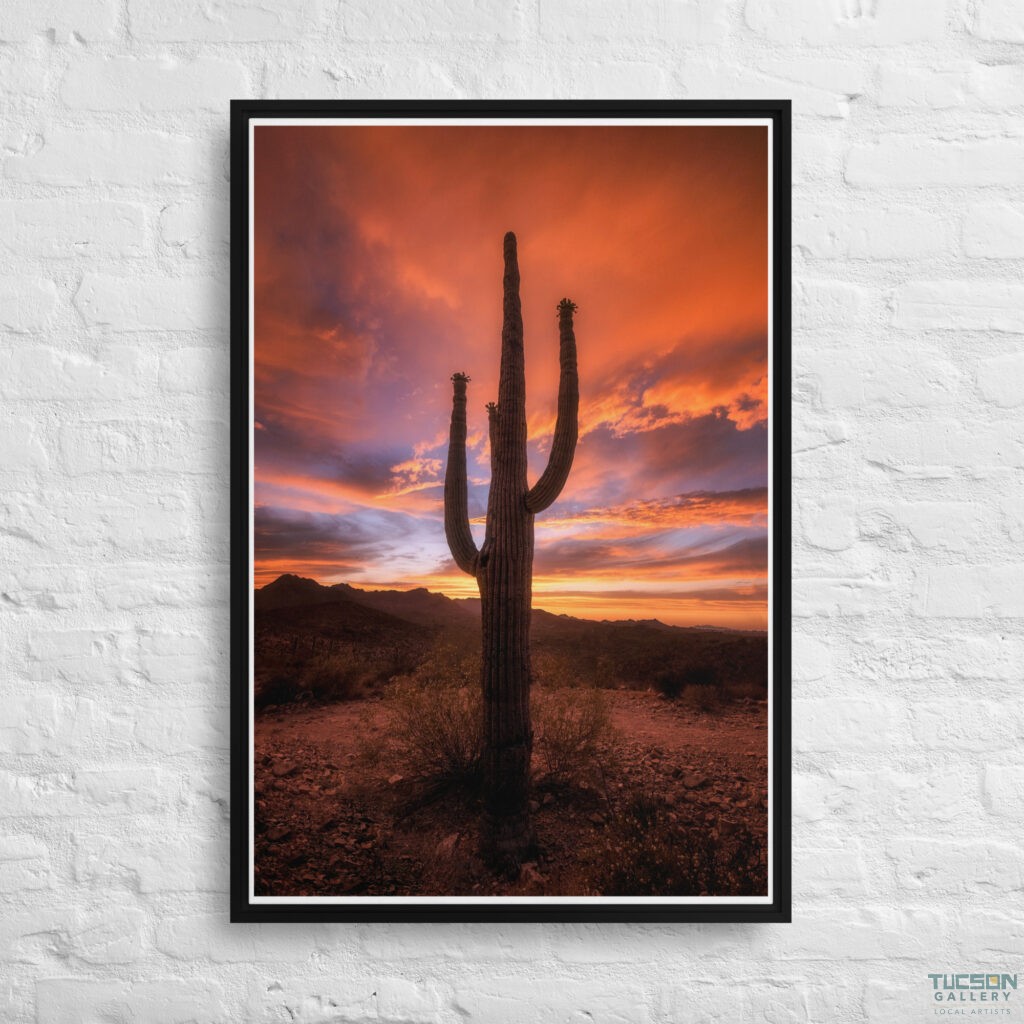 Saguaro Sunset by Sean Parker Photography | Wrapped Canvas