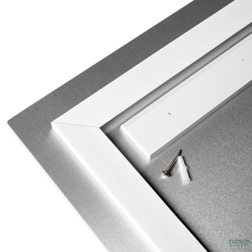 Mono-Vision by Amy Lynn Bumpus | Metal Prints