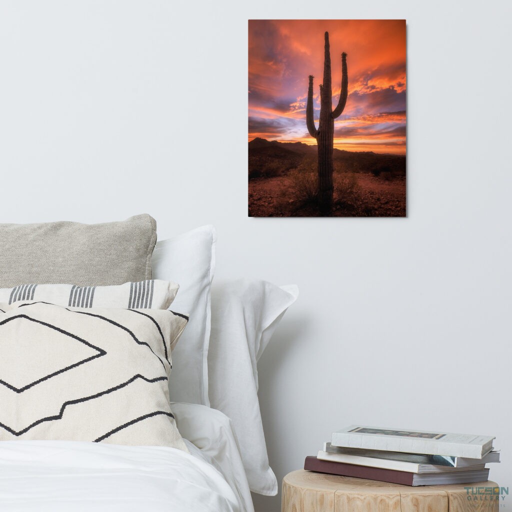 Saguaro Sunset by Sean Parker Photography | Metal prints