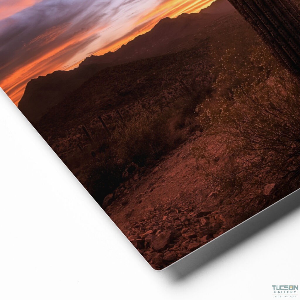 Saguaro Sunset by Sean Parker Photography | Metal prints