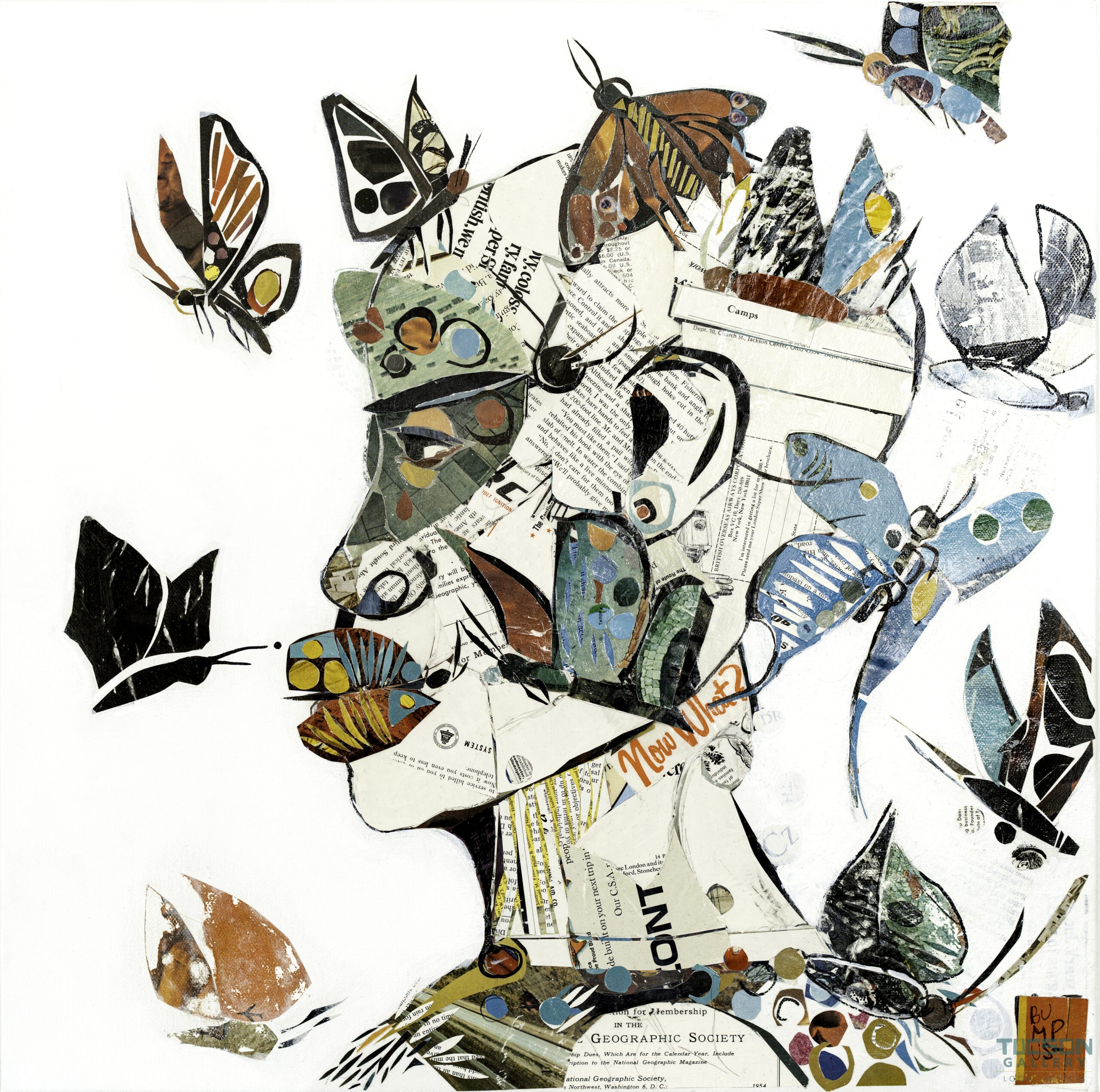 The Butterfly Effect by Amy Lynn Bumpus