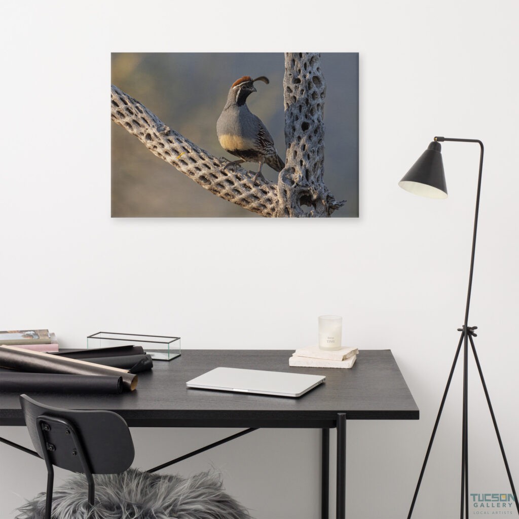 Quail on Cholla by Leslie Leathers Photography | Wrapped Canvas