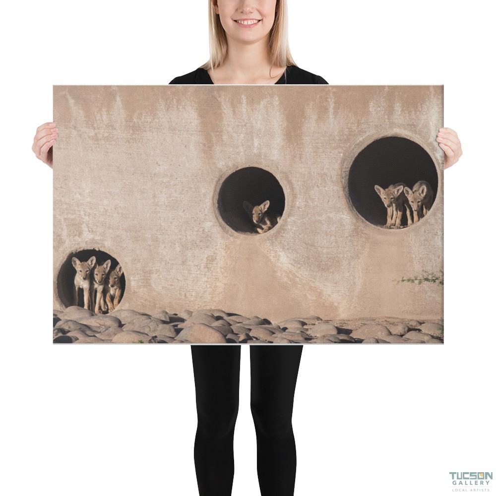 Coyote Condo by Leslie Leathers Photography | Wrapped Canvas