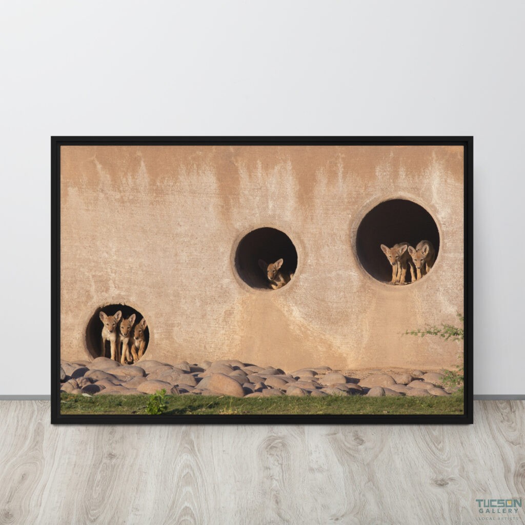 Coyote Condo by Leslie Leathers Photography | Framed canvas