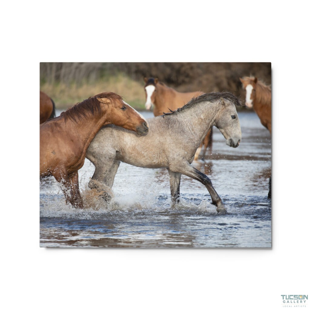 Wild Mustangs by Leslie Leathers Photography | Metal Prints
