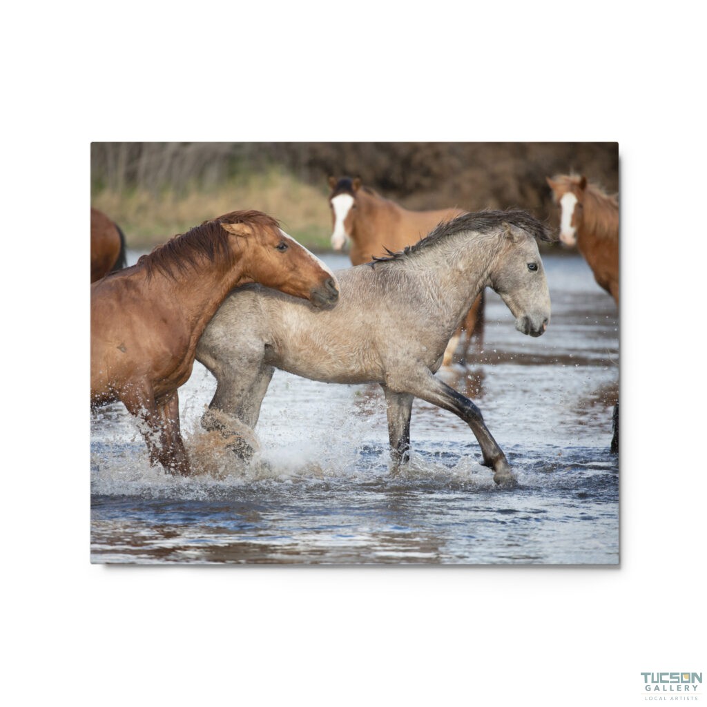 Wild Mustangs by Leslie Leathers Photography | Metal Prints