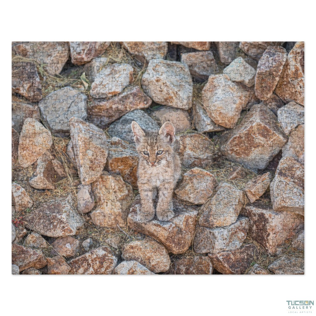Baby Bobcat by Leslie Leathers Photography | Jigsaw Puzzle