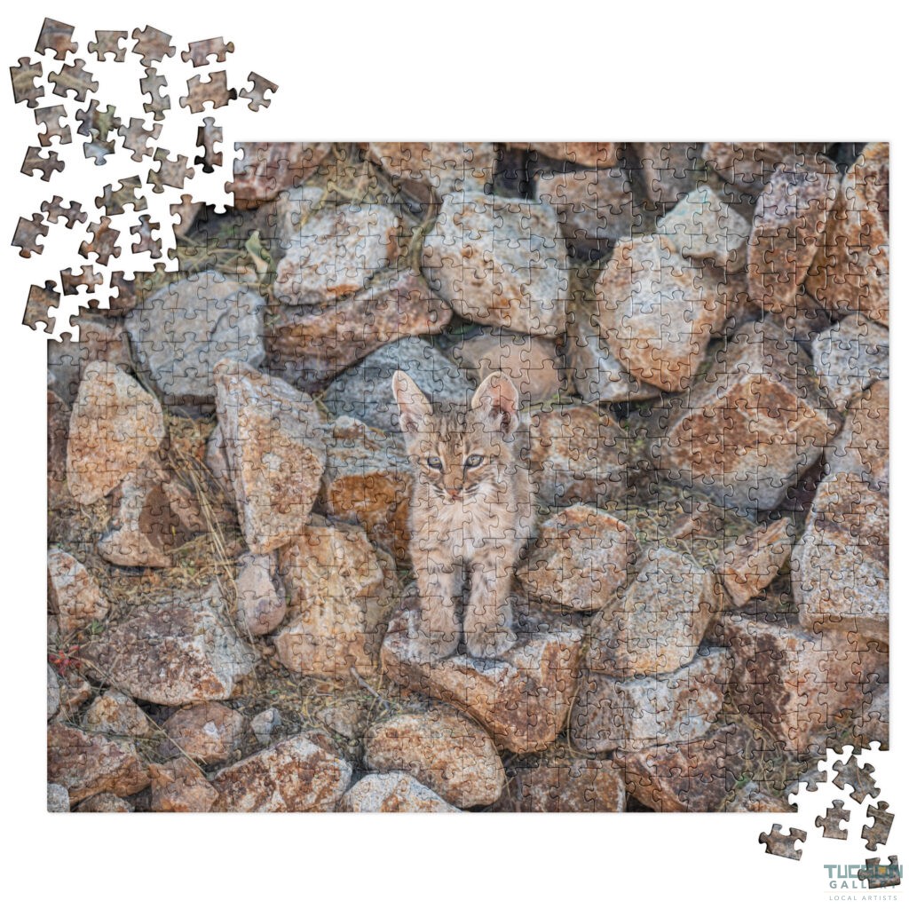 Baby Bobcat by Leslie Leathers Photography | Jigsaw Puzzle