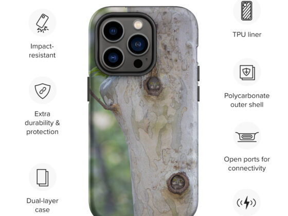 Phone Cases