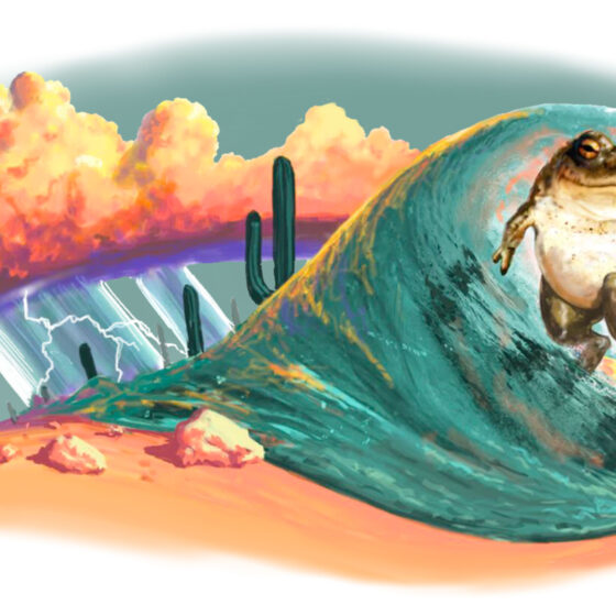 Surfer Dude Mural by Joe Pagac