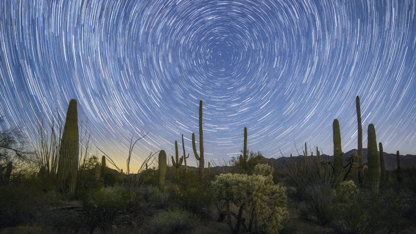 Sonoran Startails by Sean Parker Photography