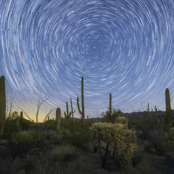 Sonoran Startails by Sean Parker Photography