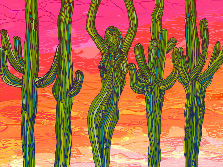 Saguaro Silhouettes by Lauri Kaye