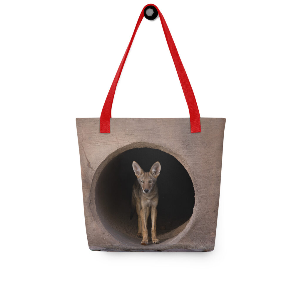 Juvenile Coyote by Leslie Leathers Photography | Tote bag