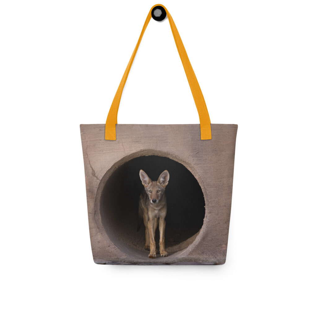 Juvenile Coyote by Leslie Leathers Photography | Tote bag