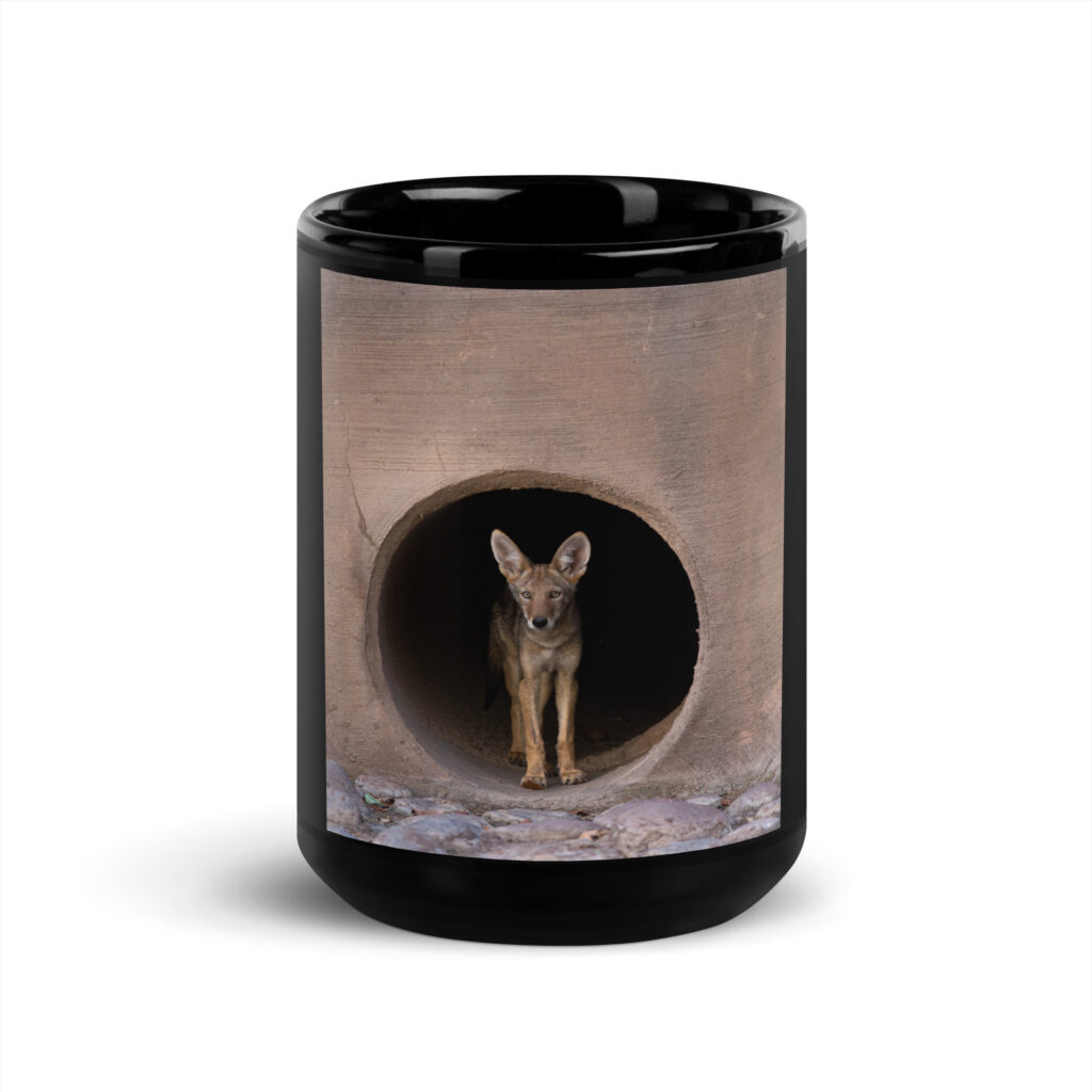 Juvenile Coyote by Leslie Leathers Photography | Black Glossy Mug