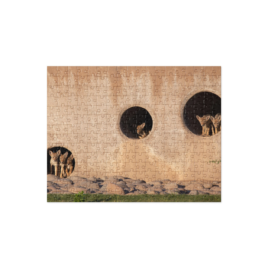 Coyote Condo by Leslie Leathers Photography | Jigsaw puzzle