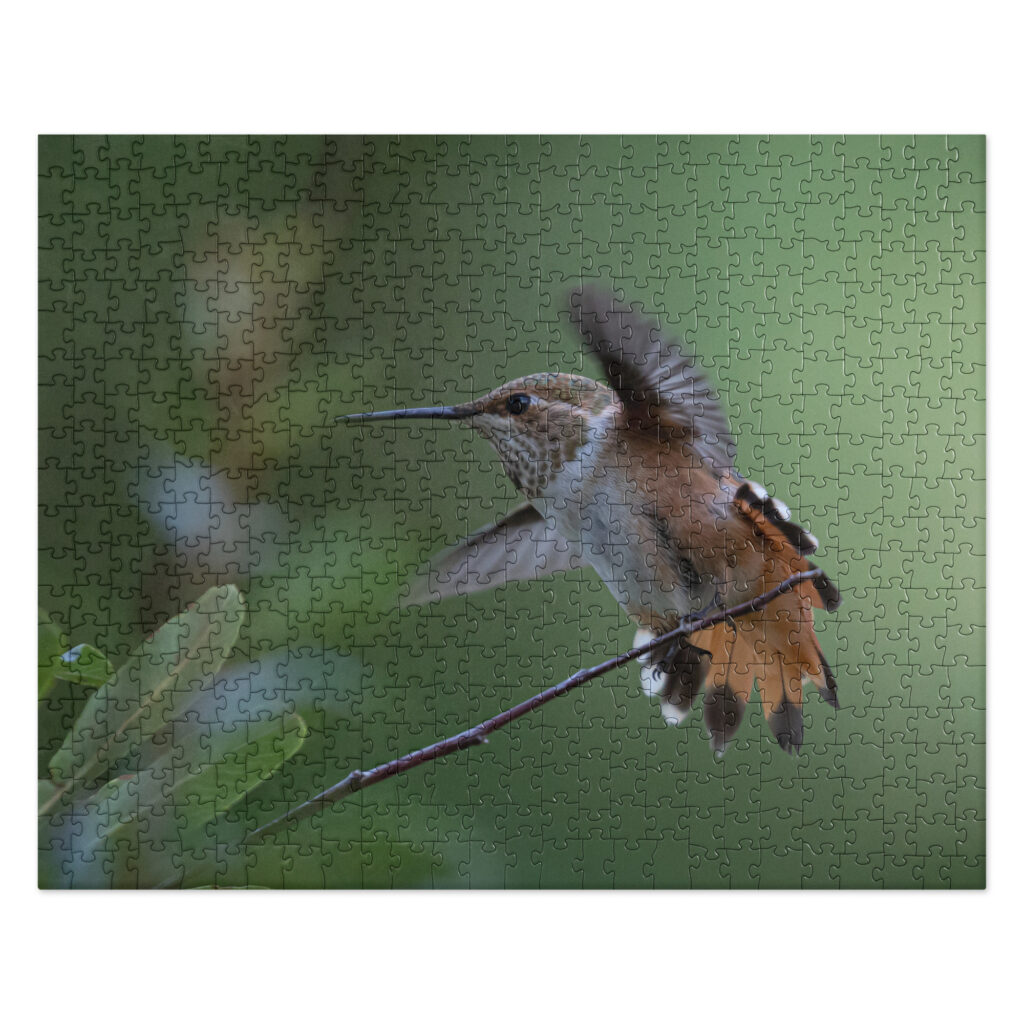 Rufous Hummingbird by Leslie Leathers Photography | Jigsaw puzzle