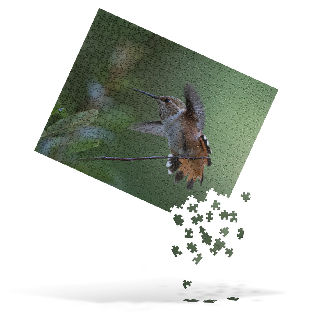Rufous Hummingbird by Leslie Leathers Photography | Jigsaw puzzle