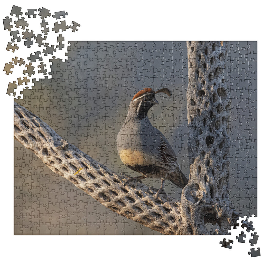 Quail on Cholla by Leslie Leathers Photography | Jigsaw puzzle