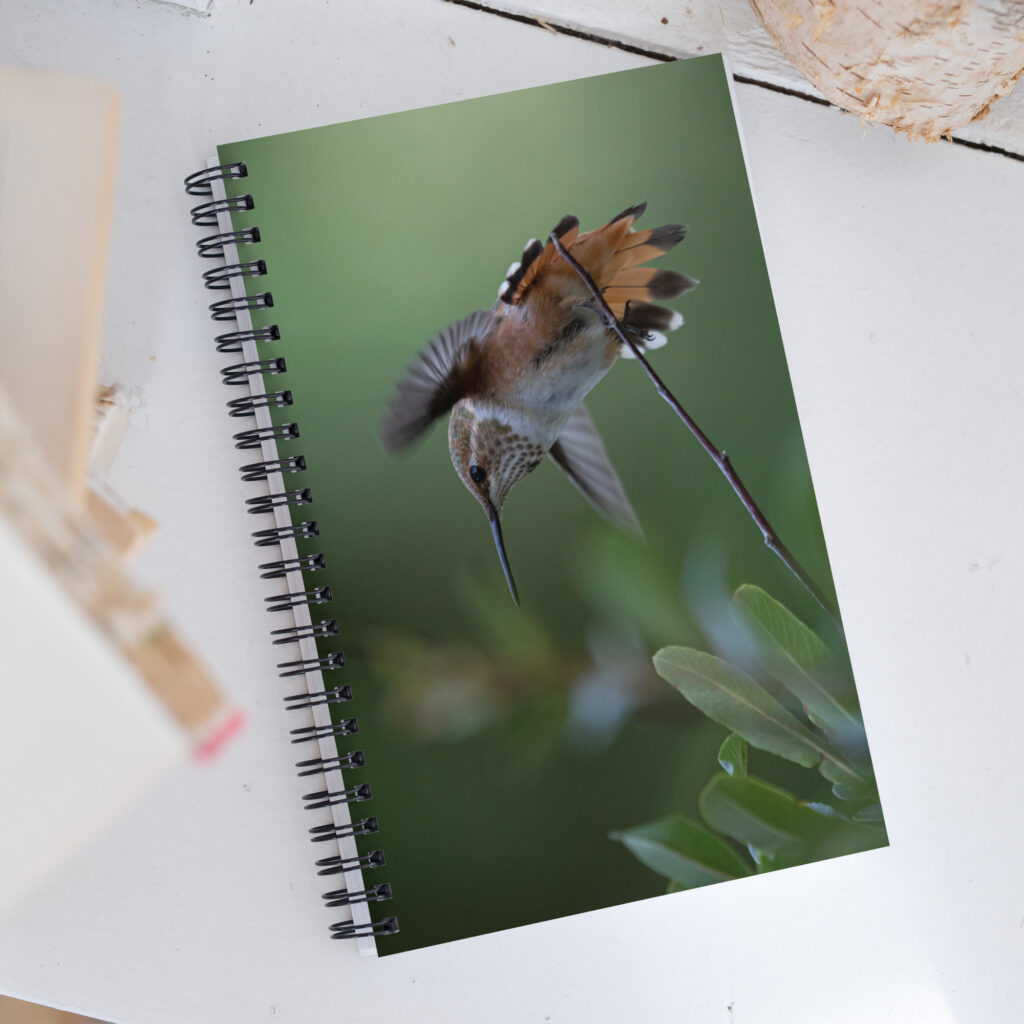 Rufous Hummingbird by Leslie Leathers Photography | Spiral notebook