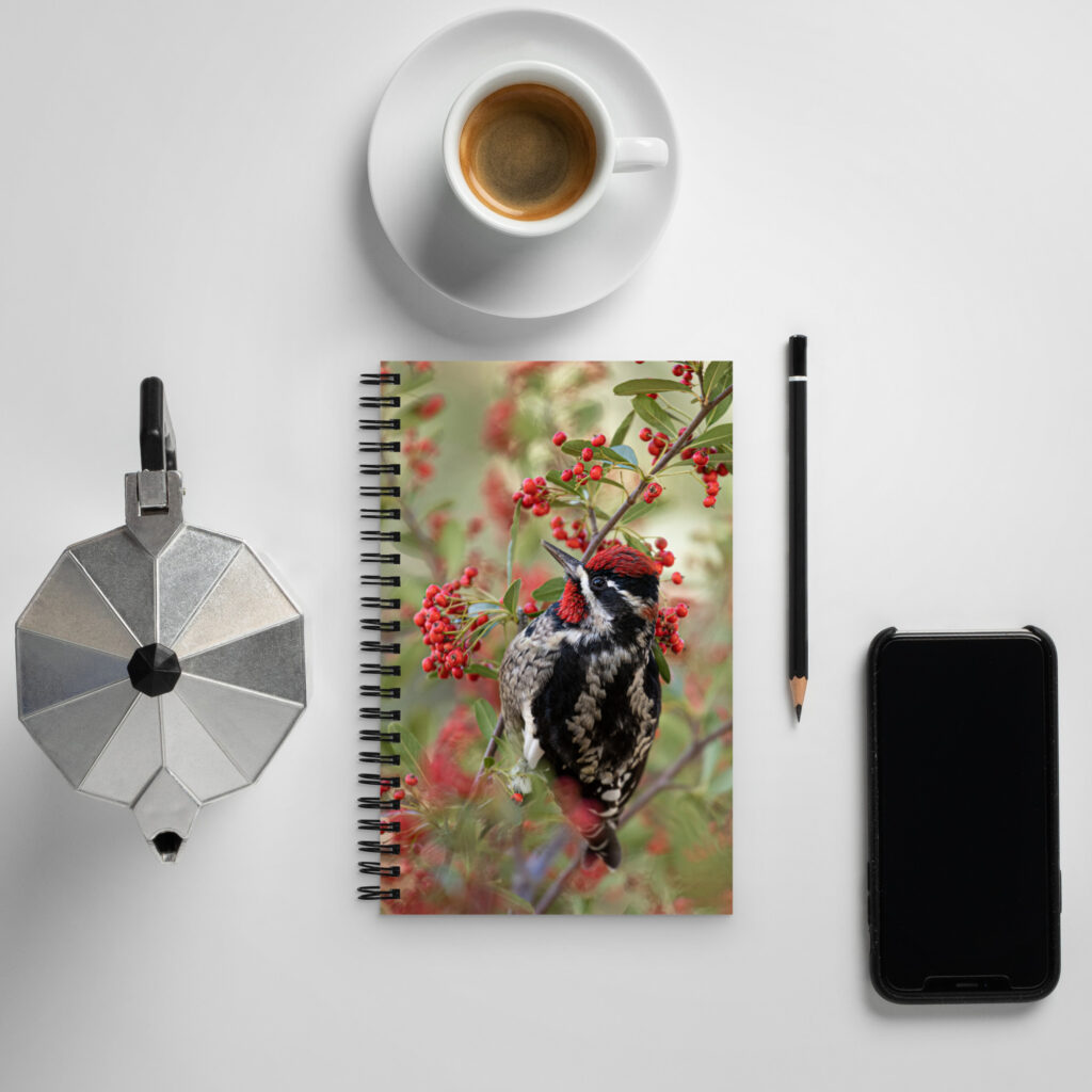 Red Naped Sapsucker by Leslie Leathers Photography | Spiral notebook