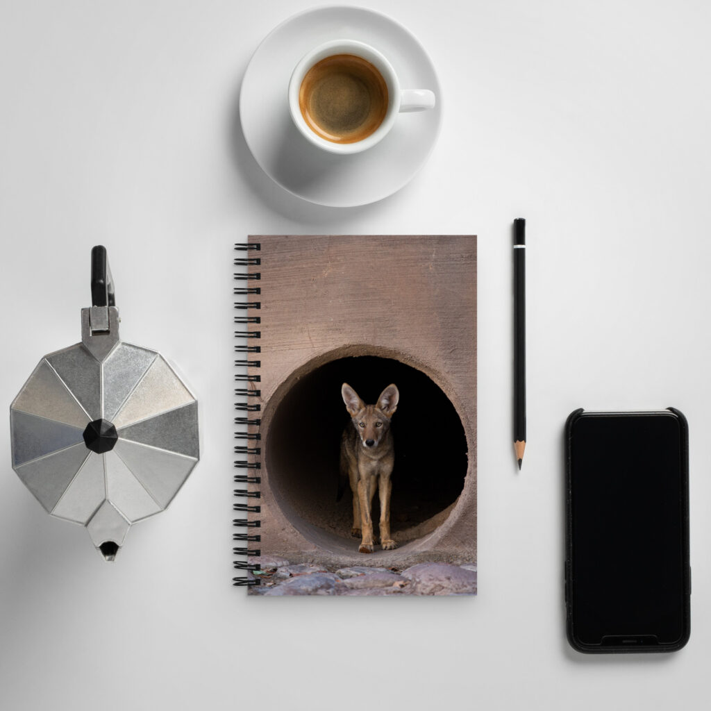Juvenile Coyote by Leslie Leathers Photography | Spiral notebook
