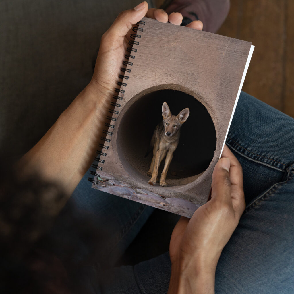 Juvenile Coyote by Leslie Leathers Photography | Spiral notebook