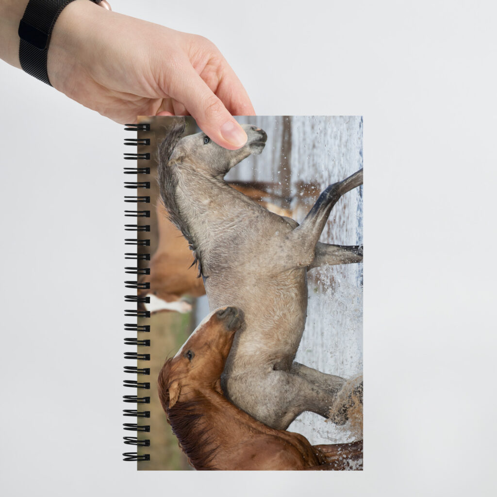 Wild Mustangs by Leslie Leathers Photography | Spiral notebook<script type="text/javascript">
/*<![CDATA[*/
(function () {
  var scriptURL = 'https://sdks.shopifycdn.com/buy-button/latest/buy-button-storefront.min.js';
  if (window.ShopifyBuy) {
    if (window.ShopifyBuy.UI) {
      ShopifyBuyInit();
    } else {
      loadScript();
    }
  } else {
    loadScript();
  }
  function loadScript() {
    var script = document.createElement('script');
    script.async = true;
    script.src = scriptURL;
    (document.getElementsByTagName('head')[0] || document.getElementsByTagName('body')[0]).appendChild(script);
    script.onload = ShopifyBuyInit;
  }
  function ShopifyBuyInit() {
    var client = ShopifyBuy.buildClient({
      domain: 'thetucsongallery.myshopify.com',
      storefrontAccessToken: '788adb1c0748dcdf79a1c3428f171f74',
    });
    ShopifyBuy.UI.onReady(client).then(function (ui) {
      ui.createComponent('product', {
        id: '7002970030137',
        node: document.getElementById('product-component-1680793211977'),
        moneyFormat: '%24%7B%7Bamount%7D%7D',
        options: {
  "product": {
    "styles": {
      "product": {
        "@media (min-width: 601px)": {
          "max-width": "calc(25% - 20px)",
          "margin-left": "20px",
          "margin-bottom": "50px"
        }
      }
    },
    "text": {
      "button": "Add to cart"
    }
  },
  "productSet": {
    "styles": {
      "products": {
        "@media (min-width: 601px)": {
          "margin-left": "-20px"
        }
      }
    }
  },
  "modalProduct": {
    "contents": {
      "img": false,
      "imgWithCarousel": true,
      "button": false,
      "buttonWithQuantity": true
    },
    "styles": {
      "product": {
        "@media (min-width: 601px)": {
          "max-width": "100%",
          "margin-left": "0px",
          "margin-bottom": "0px"
        }
      }
    },
    "text": {
      "button": "Add to cart"
    }
  },
  "option": {},
  "cart": {
    "text": {
      "total": "Subtotal",
      "button": "Checkout"
    },
    "popup": false
  },
  "toggle": {}
},
      });
    });
  }
})();
/*]]>*/
</script>