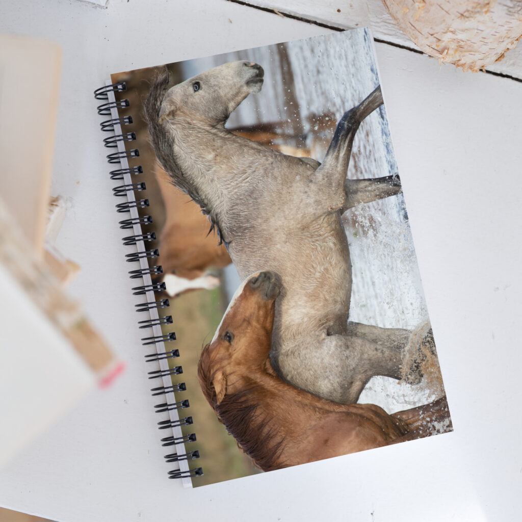 Wild Mustangs by Leslie Leathers Photography | Spiral notebook<script type="text/javascript">
/*<![CDATA[*/
(function () {
  var scriptURL = 'https://sdks.shopifycdn.com/buy-button/latest/buy-button-storefront.min.js';
  if (window.ShopifyBuy) {
    if (window.ShopifyBuy.UI) {
      ShopifyBuyInit();
    } else {
      loadScript();
    }
  } else {
    loadScript();
  }
  function loadScript() {
    var script = document.createElement('script');
    script.async = true;
    script.src = scriptURL;
    (document.getElementsByTagName('head')[0] || document.getElementsByTagName('body')[0]).appendChild(script);
    script.onload = ShopifyBuyInit;
  }
  function ShopifyBuyInit() {
    var client = ShopifyBuy.buildClient({
      domain: 'thetucsongallery.myshopify.com',
      storefrontAccessToken: '788adb1c0748dcdf79a1c3428f171f74',
    });
    ShopifyBuy.UI.onReady(client).then(function (ui) {
      ui.createComponent('product', {
        id: '7002970030137',
        node: document.getElementById('product-component-1680793211977'),
        moneyFormat: '%24%7B%7Bamount%7D%7D',
        options: {
  "product": {
    "styles": {
      "product": {
        "@media (min-width: 601px)": {
          "max-width": "calc(25% - 20px)",
          "margin-left": "20px",
          "margin-bottom": "50px"
        }
      }
    },
    "text": {
      "button": "Add to cart"
    }
  },
  "productSet": {
    "styles": {
      "products": {
        "@media (min-width: 601px)": {
          "margin-left": "-20px"
        }
      }
    }
  },
  "modalProduct": {
    "contents": {
      "img": false,
      "imgWithCarousel": true,
      "button": false,
      "buttonWithQuantity": true
    },
    "styles": {
      "product": {
        "@media (min-width: 601px)": {
          "max-width": "100%",
          "margin-left": "0px",
          "margin-bottom": "0px"
        }
      }
    },
    "text": {
      "button": "Add to cart"
    }
  },
  "option": {},
  "cart": {
    "text": {
      "total": "Subtotal",
      "button": "Checkout"
    },
    "popup": false
  },
  "toggle": {}
},
      });
    });
  }
})();
/*]]>*/
</script>