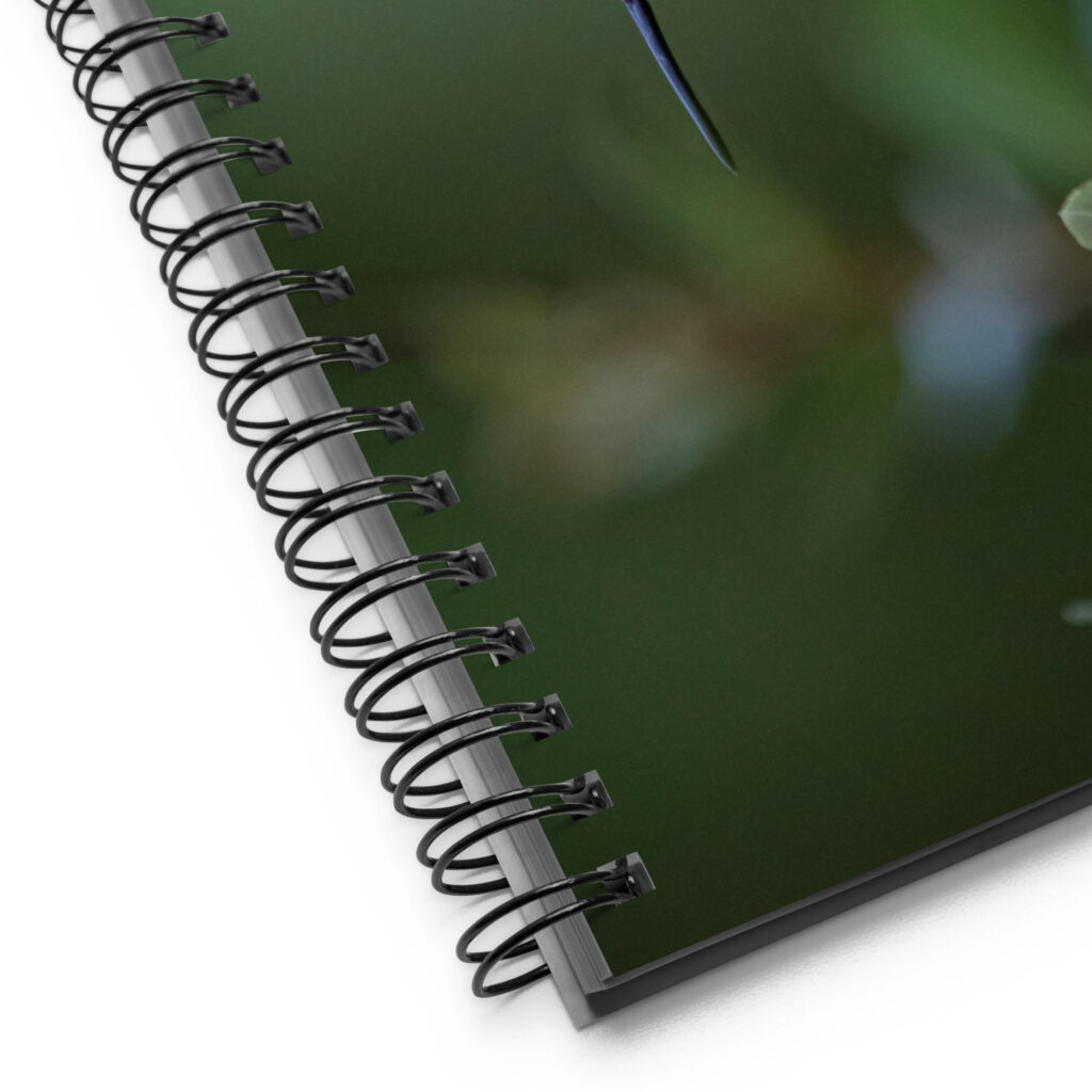 Rufous Hummingbird by Leslie Leathers Photography | Spiral notebook