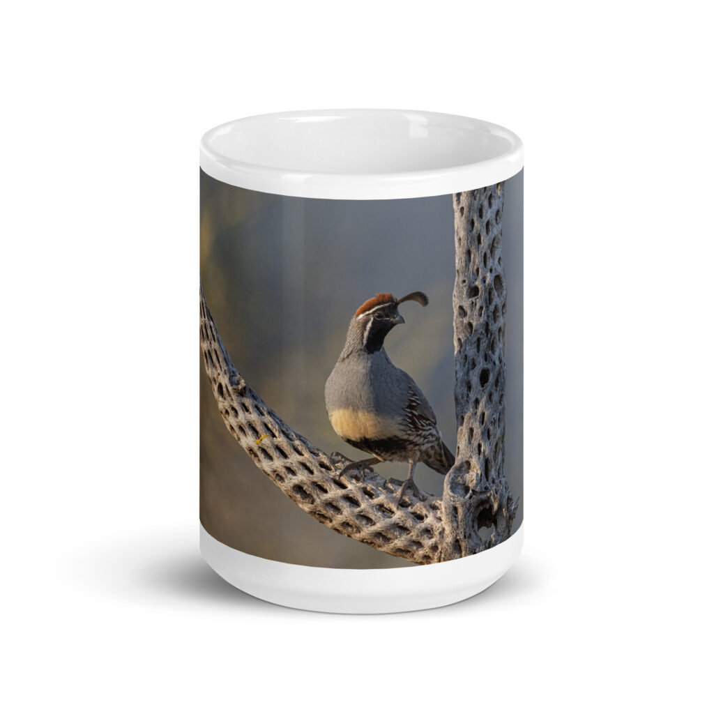 Quail on Cholla by Leslie Leathers Photography | White glossy mug