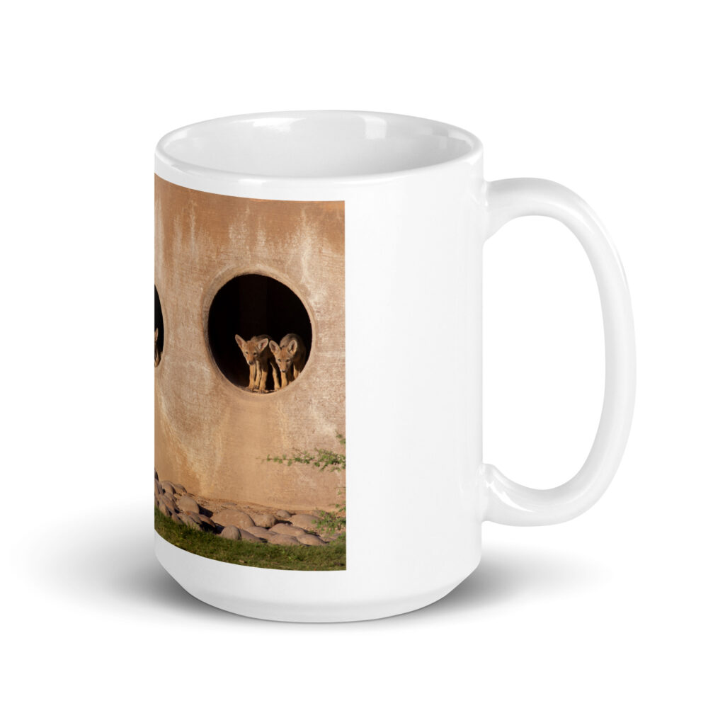 Coyote Condo by Leslie Leathers Photography | White glossy mug