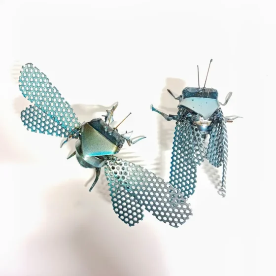 Insects by Ukiah Hoy