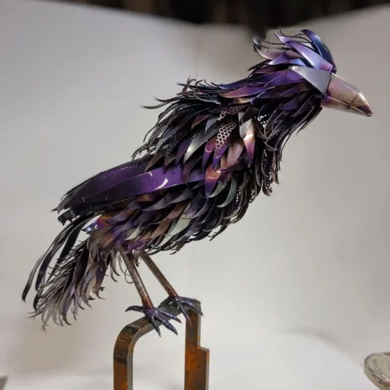 Large Perched Raven